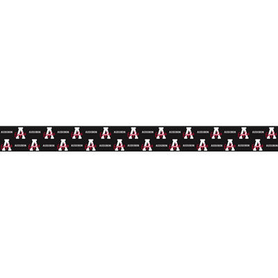 AD202<br>Headband